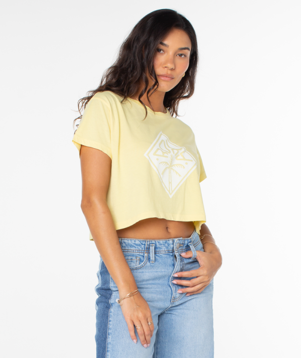 T-Shirts | Women Roxy Wave Riders Cropped Tee Snapdragon Wave Riders